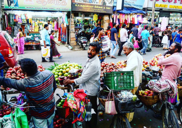 DESCUBRIENDO INDIA CON ZXM