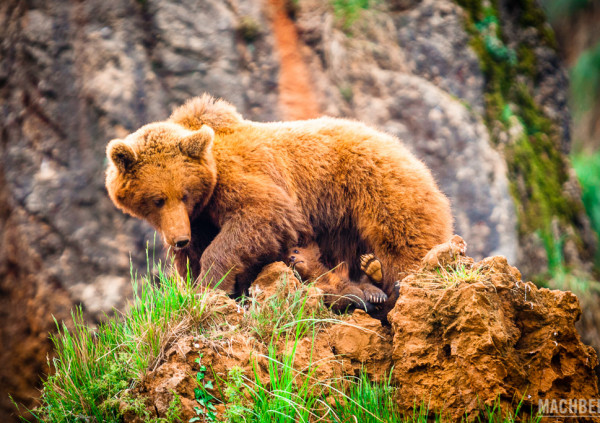 EMBAJADORES MINUBE DE CANTABRIA