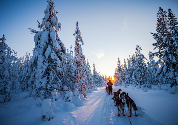 FINLANDIA A FONDO: ESPECIAL MAKTA